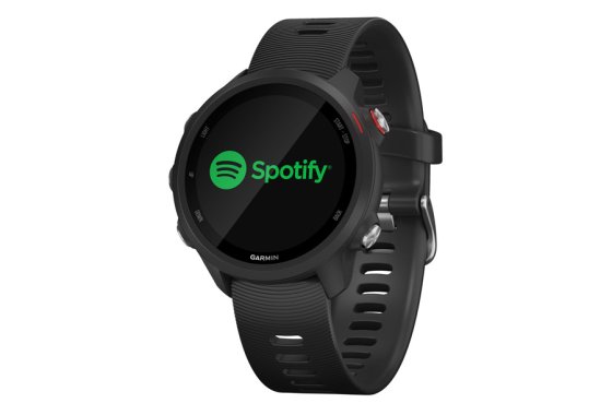 Garmin Forerunner 245 Music Watch